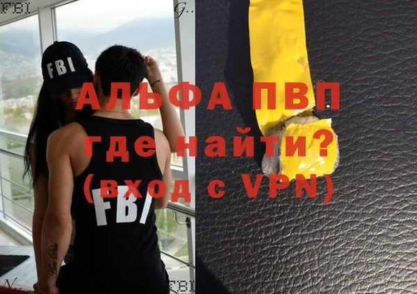ПСИЛОЦИБИНОВЫЕ ГРИБЫ Богданович